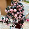 Cây đào 68 quả lớn đá thạch anh hồng